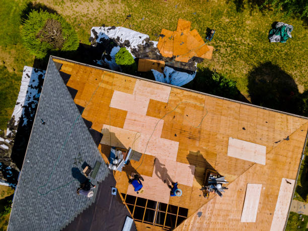 Best Metal Roofing Contractor  in Martindale, TX